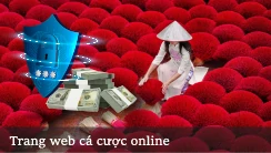 Lý do nên chọn Aquax bet 1